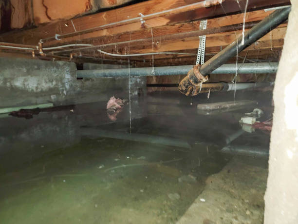 Best 24/7 water damage repair  in North Wantagh, NY