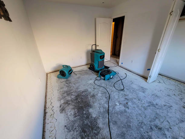 Best Carpet water damage restoration  in North Wantagh, NY