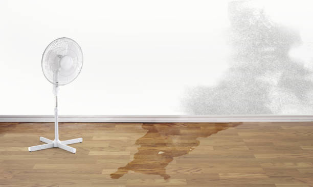 Best Water damage restoration insurance claims  in North Wantagh, NY