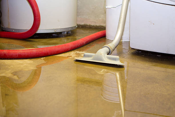 Best Water damage cleanup near me  in North Wantagh, NY