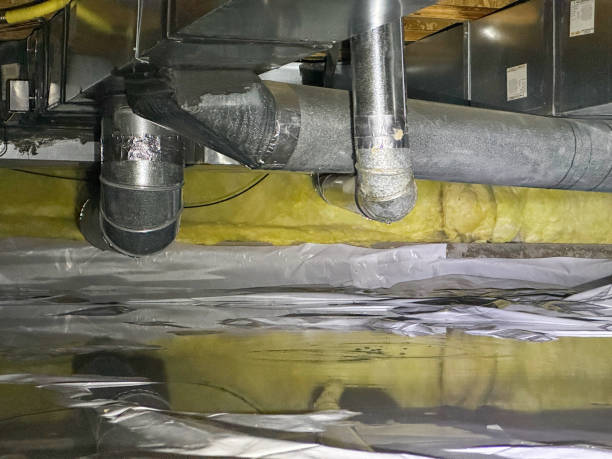  North Wantagh, NY Water damage restoration Pros