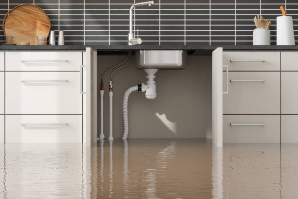 Best Water damage contractors near me  in North Wantagh, NY
