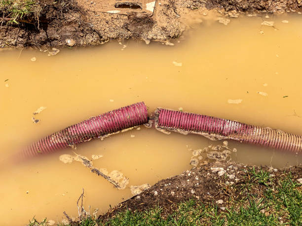 Best Local water damage restoration  in North Wantagh, NY